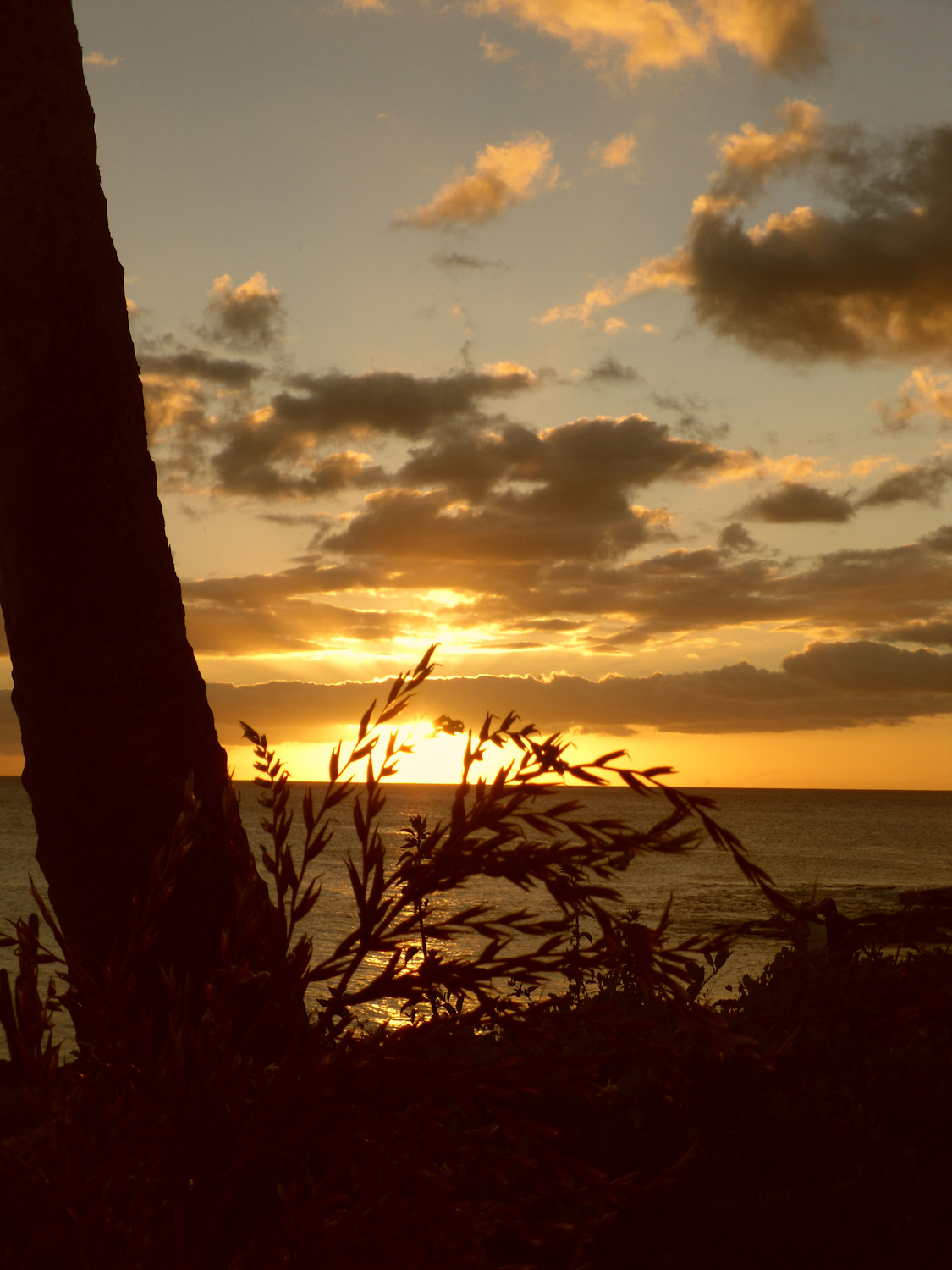 Sunset views from condo in Poipu